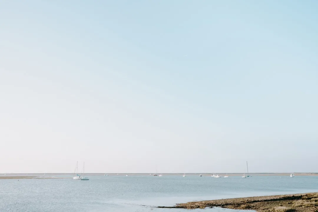 OpenClaw Alternatives: Honest Options for Local and Open-Source AI Coding Agents