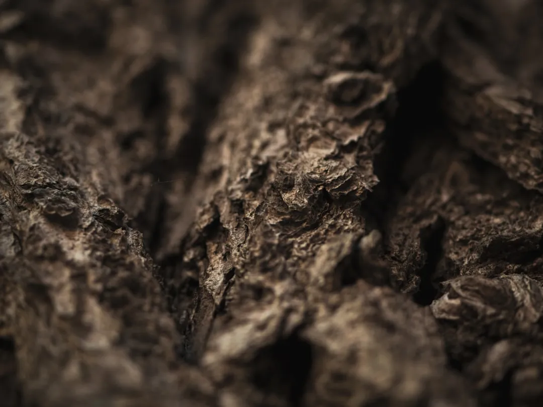 Google Stitch vs Figma: What the March 2026 Update Actually Changes