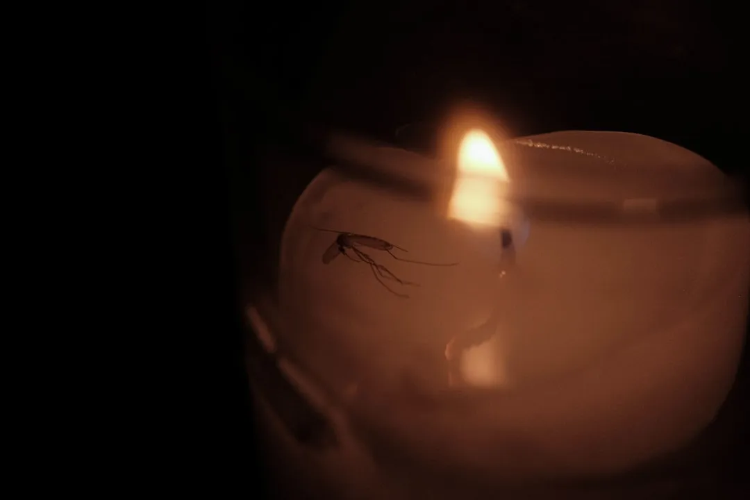 What Is OpenClaw? The Open-Source AI Agent That Works While You Sleep