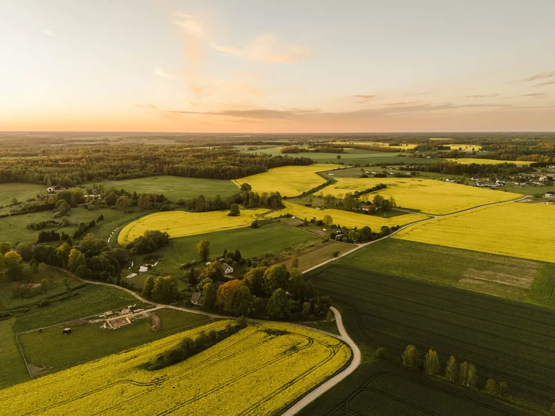 Openclaw Air-Gapped Deployment: Running AI Agents Without Internet